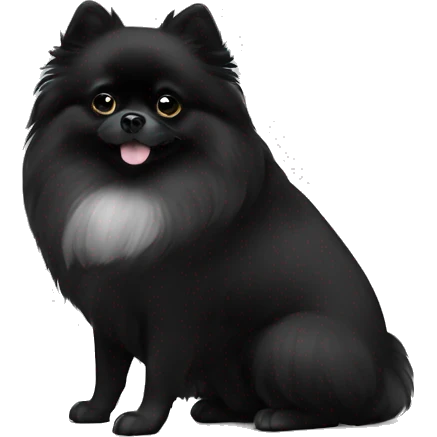 Black Pomeranian with white paws and white chest emoji
