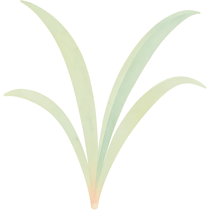 a single spider plant leaf, watercolor style, delicate brush strokes, soft colors emoji