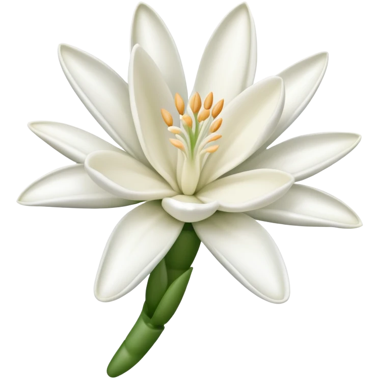 tubéreuse flower emoji