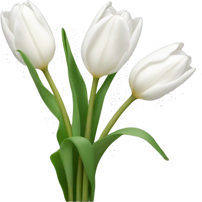 white tulips  emoji