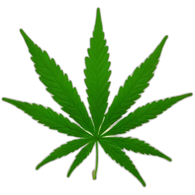 Cannabis emoji