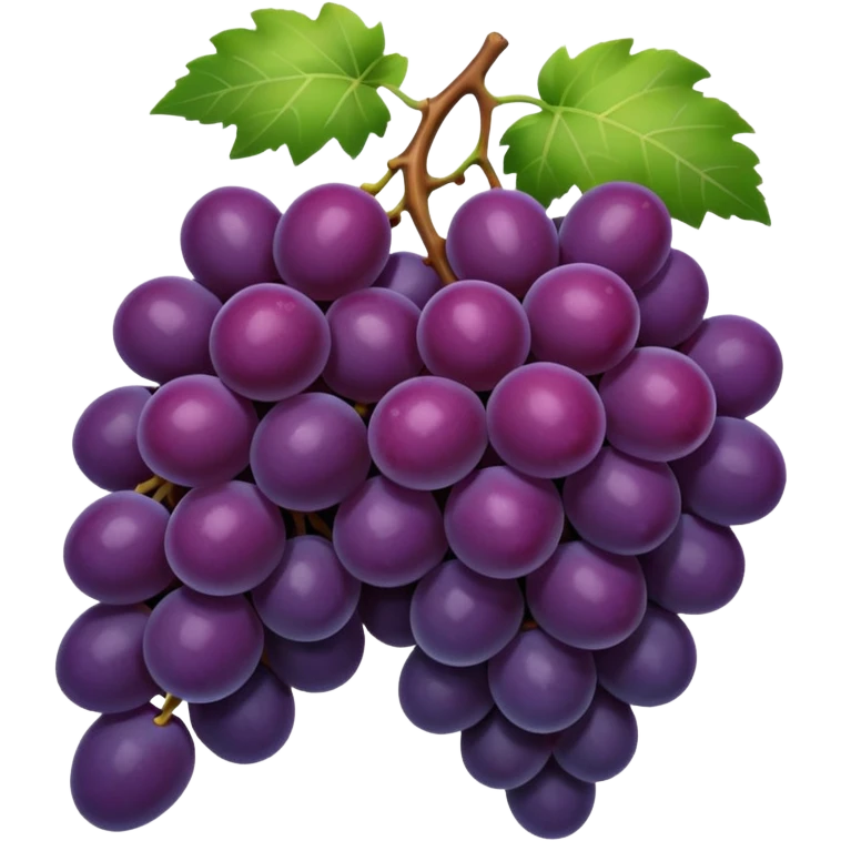 dark grapes emoji