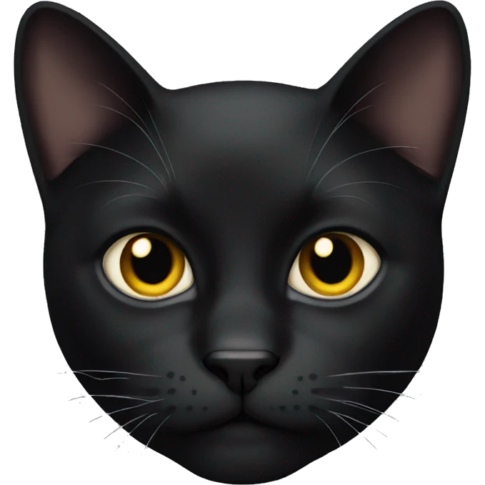 Black cat emoji