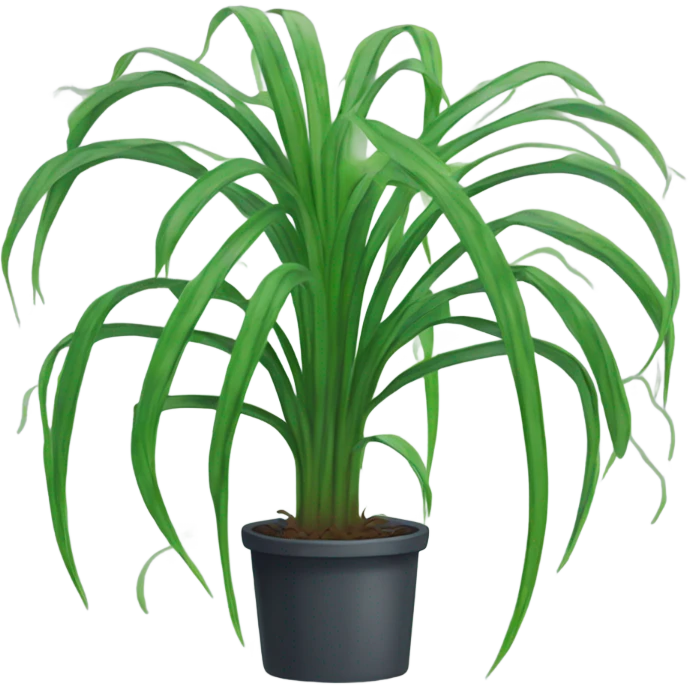 Cartoon spider plant emoji