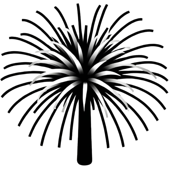 black and white firework emoji emoji