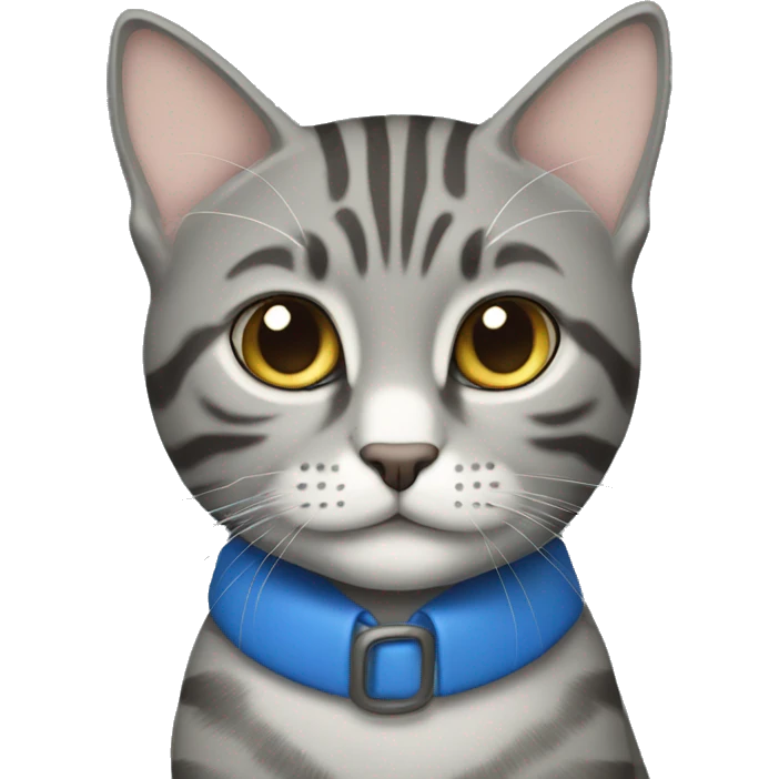  Grey tabby blue collar emoji