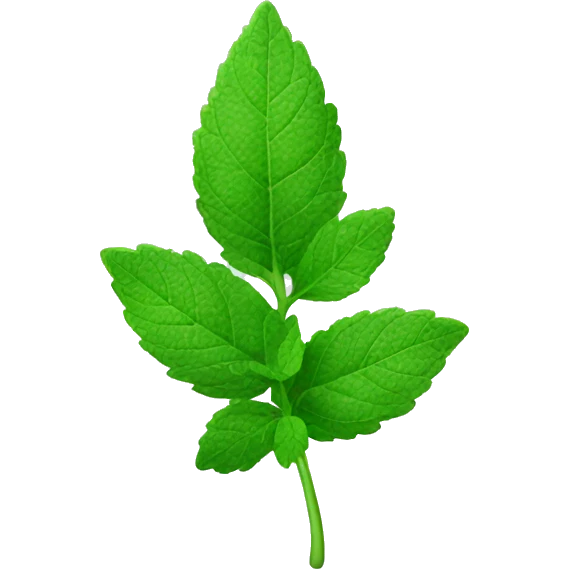 mint leaf emoji