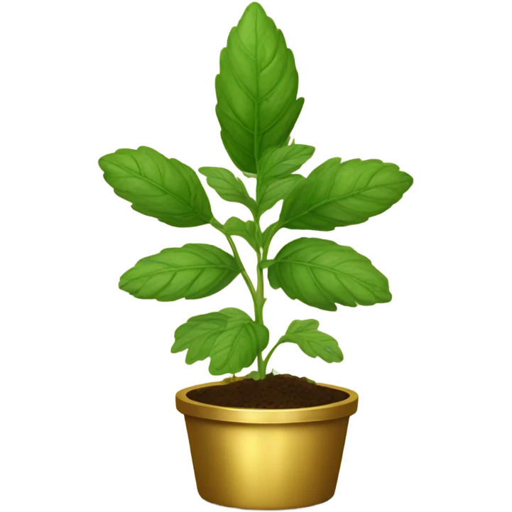 Herb in gold pot emoji
