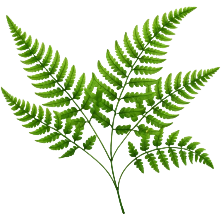fern emoji