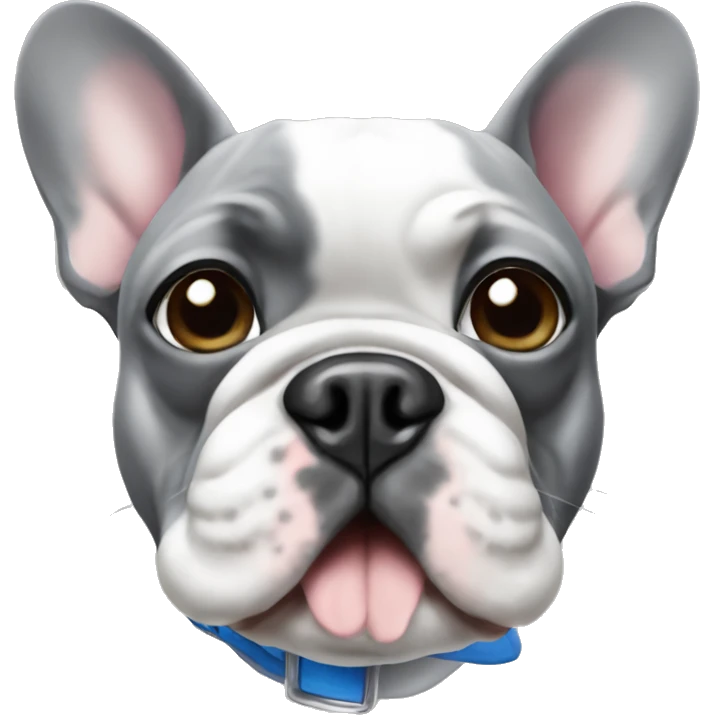 French bulldog grey with blue eyes  emoji
