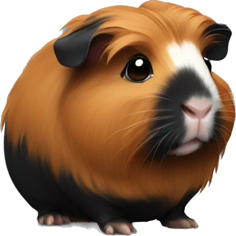 Black and ginger Guinea pig  emoji