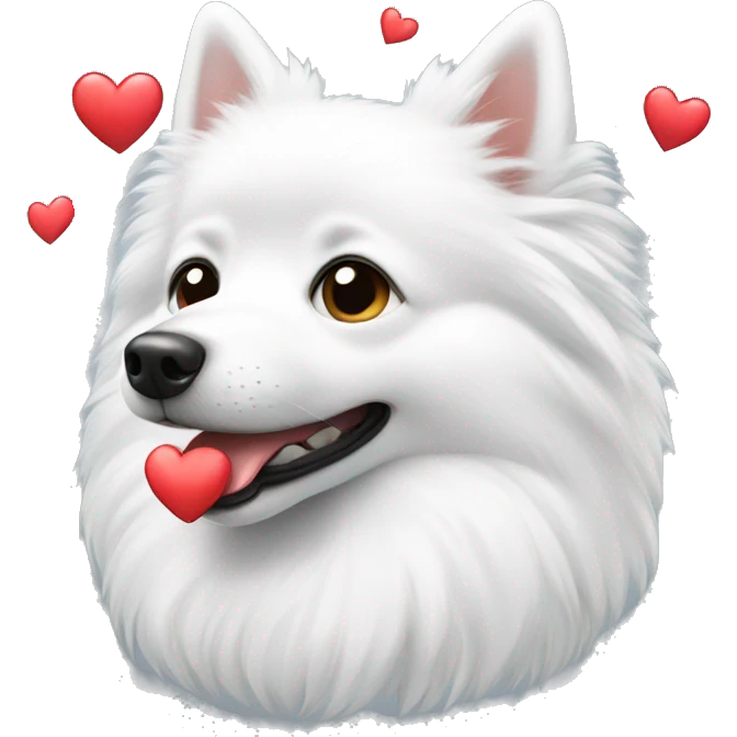 white spitz showing heart emoji