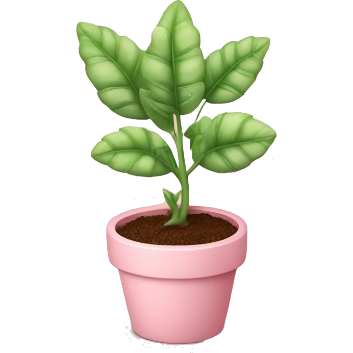 cute plant with a baby pink pot emoji