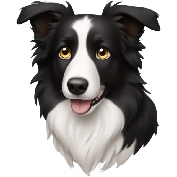 Border collie with one blue eye and one brown eye  emoji
