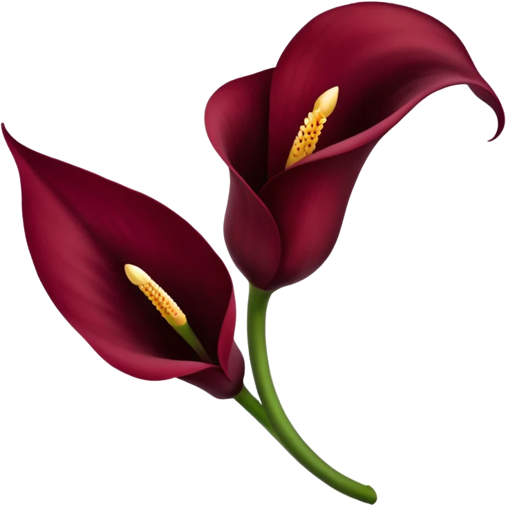 burgendy calla lily emoji