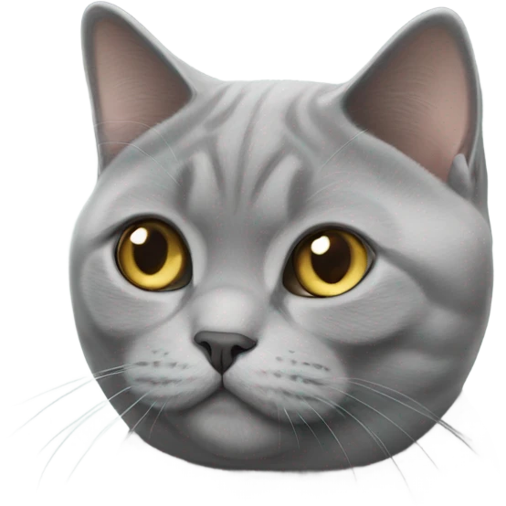 british shorthair cat emoji