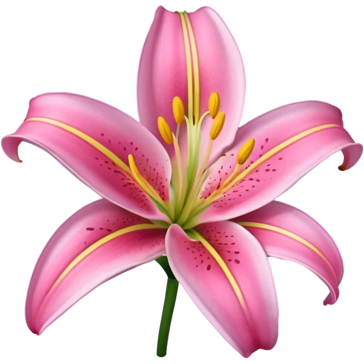 Pink Lilly emoji emoji