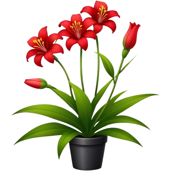 Rote Lilien und Gänseblümchen emoji