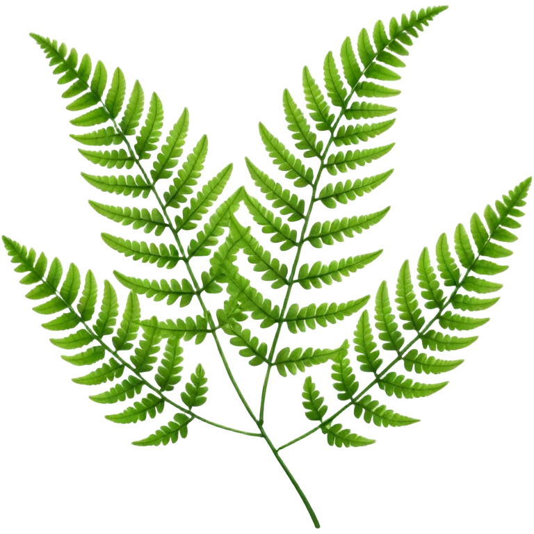 Fern emoji