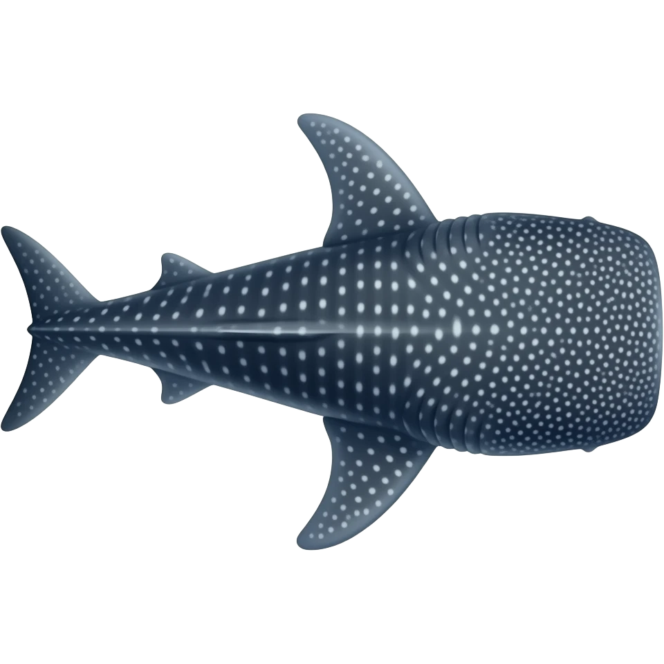 A real whale shark view from above with a big head facing right emoji