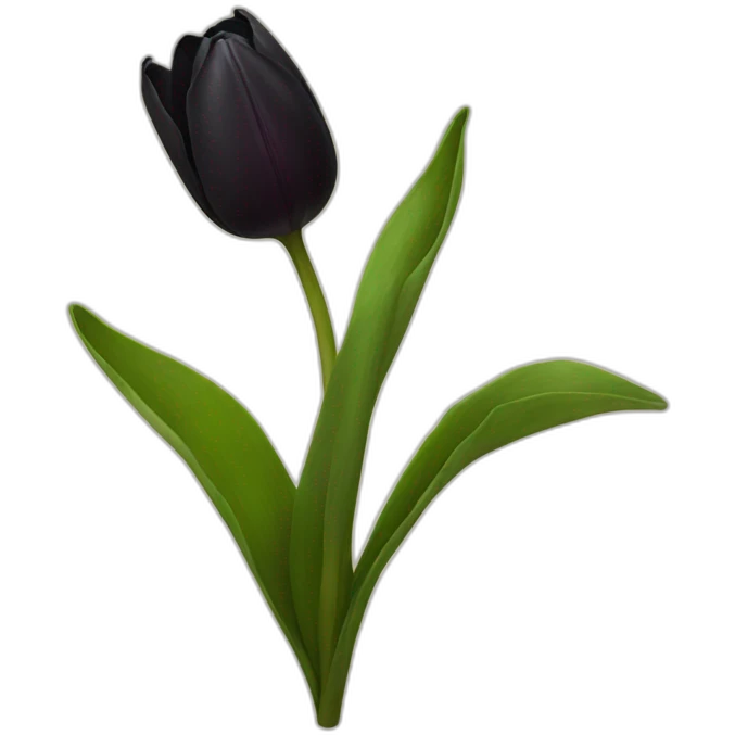 black tulip emoji