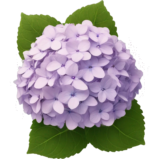 Hydrangea emoji