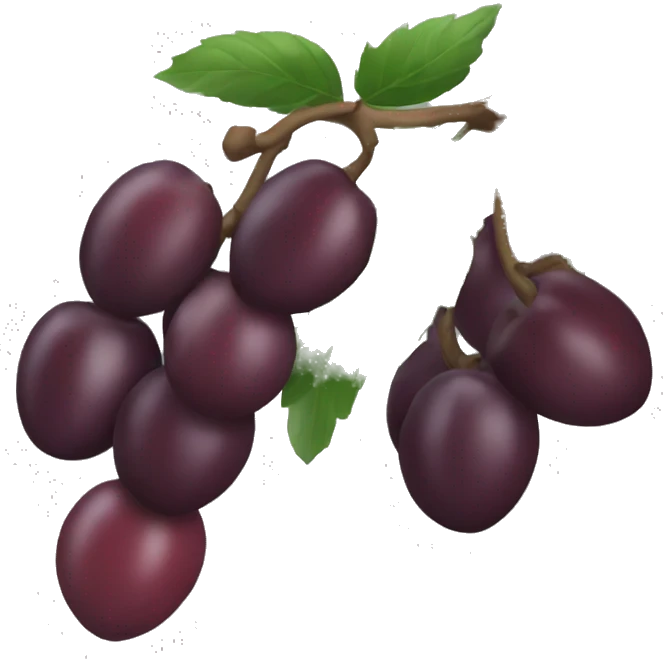 A single date (fruit). emoji