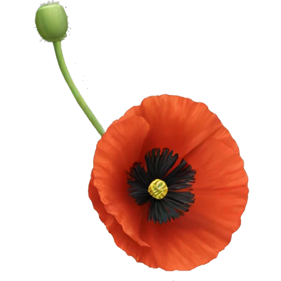 Red poppy emoji