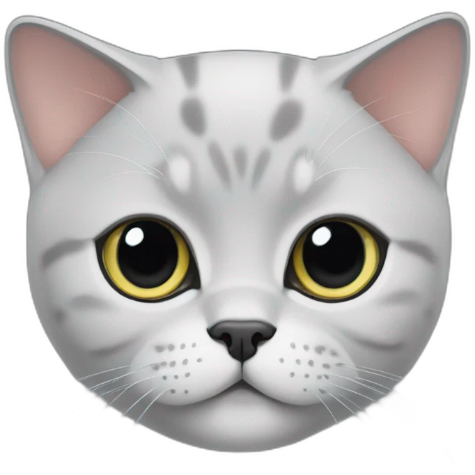 British shorthair car emoji