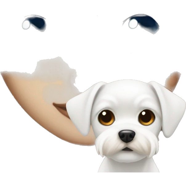 Blue eye Girl with white maltese dog with brown eyes  emoji