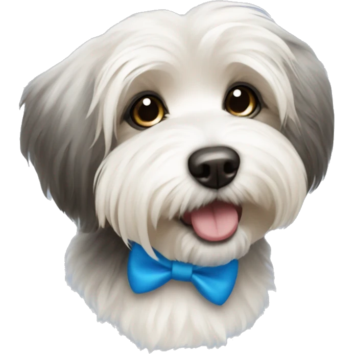 havanese dog with blue bow emoji