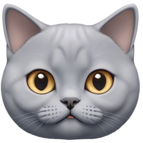 Cinematic Cute Grey British Shorthair Cat Portrait Emoji, Head tilted playfully and inquisitively, sleek soft grey fur with subtle blue undertones, Simplified yet adorable features, highly detailed, glowing with a warm, friendly glow, high shine, curious and affectionate, stylized with a touch of whimsy, bright and alert, soft glowing outline, capturing the essence of a calm yet playful kitten, so endearing it feels like it could leap out of the screen and cuddle! emoji