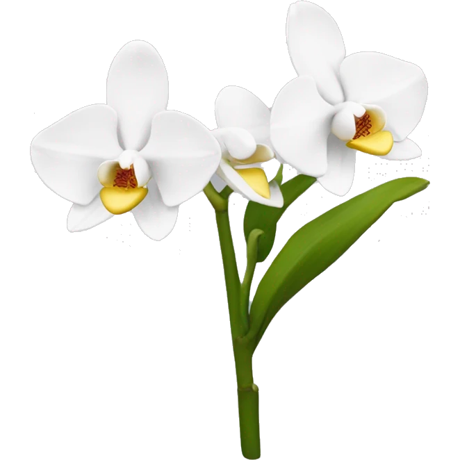 Orquídea blanca  emoji