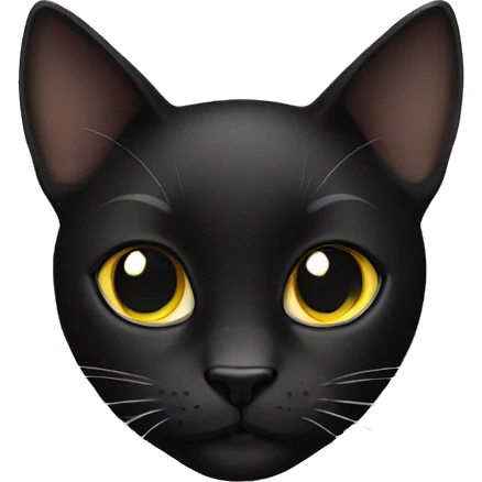 Black cat emoji