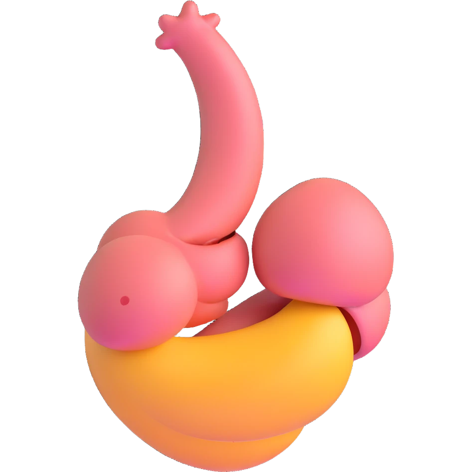 stomach, simple and smooth emoji