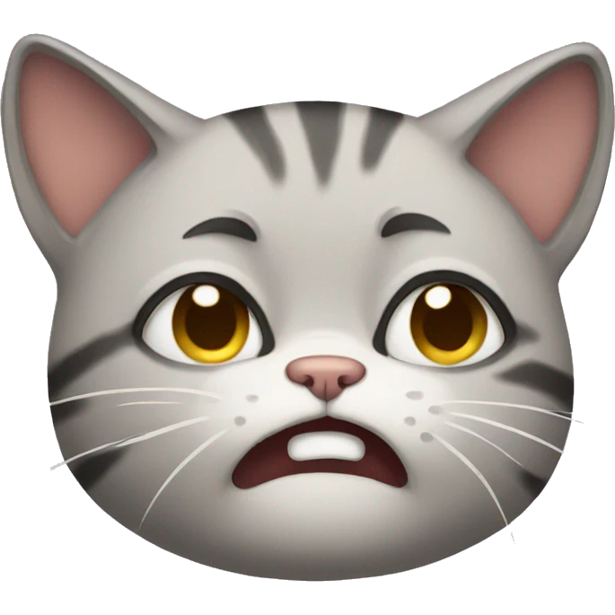 Cat crying  emoji