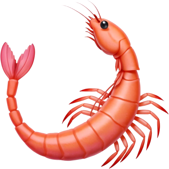 shrimp emoji