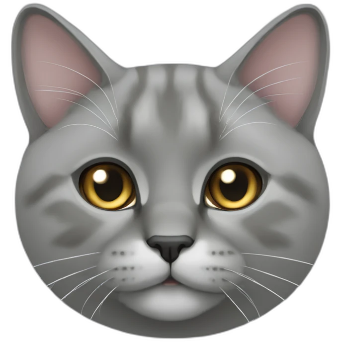 Grey lop-eared british cat emoji