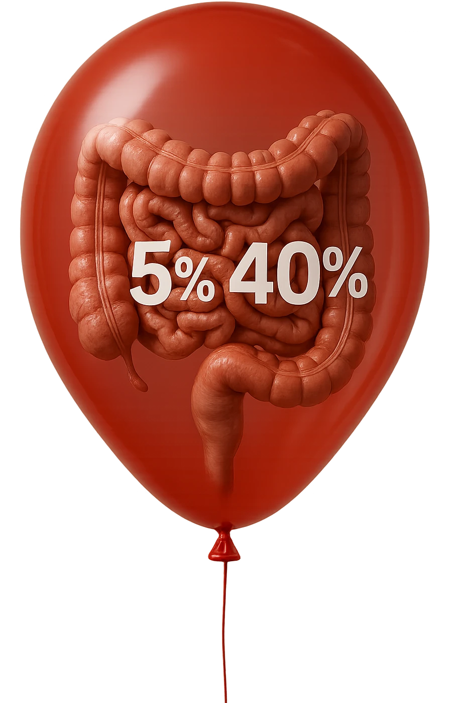 intestino umano anatomico chiuso in un palloncino rosso con la scritta 5% e 40% dentro insieme all'intestino, iperrealistico 4k emoji