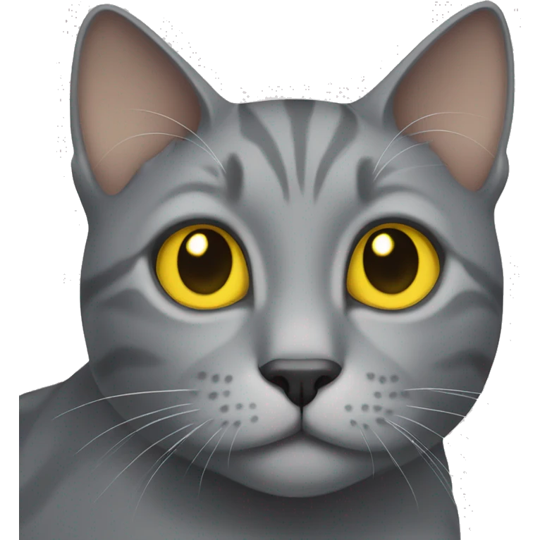 Grey cat with yellow eys emoji