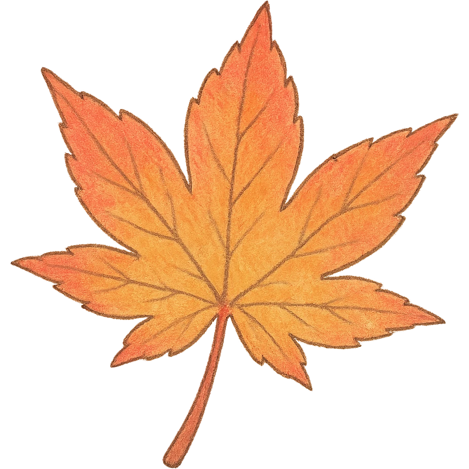 a maple leaf, Japanese soft pastel hand-drawn, full object, transparent background emoji