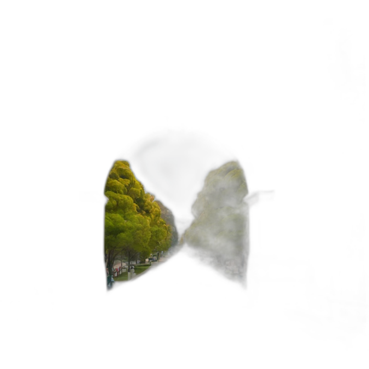 UC Berkeley sather gate emoji