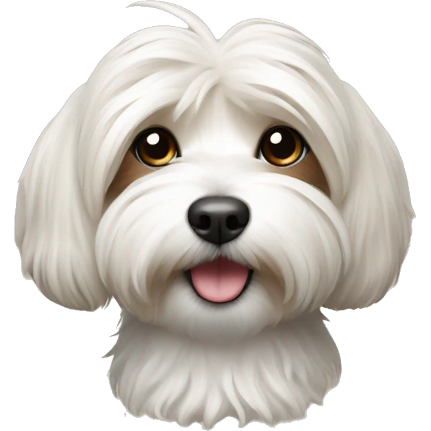 Dog havanese miniature  emoji