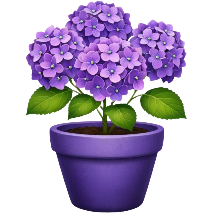 purple hydrangeas flower pot emoji