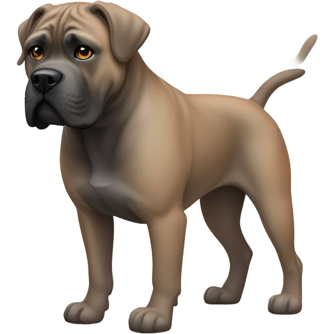 An orange-colored Cane Corso wearing a bathing suit. emoji