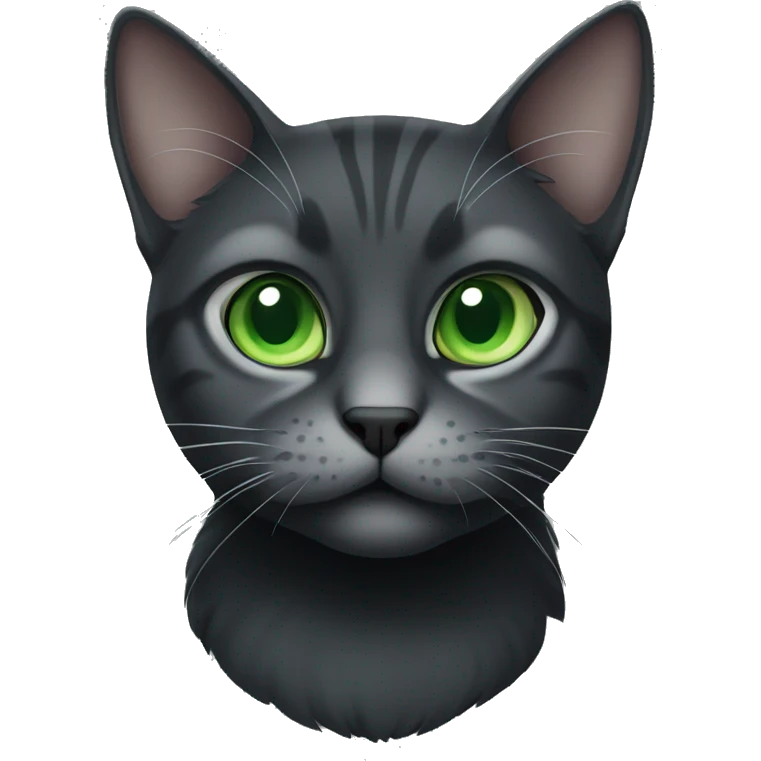 Black and grey cat with green eyes  emoji