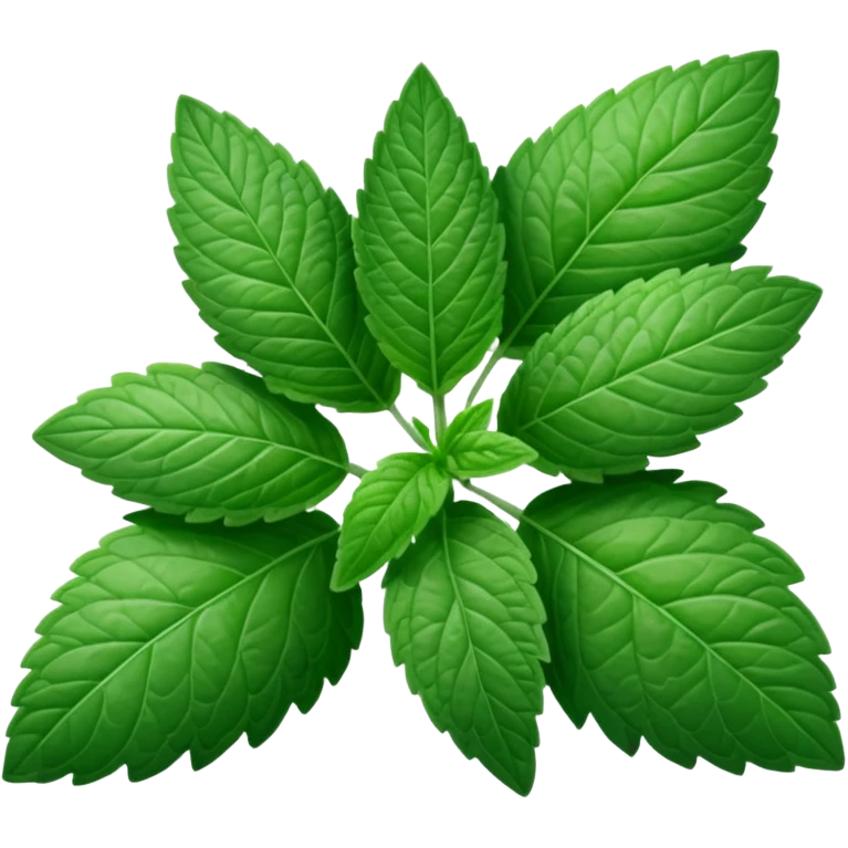 Peppermint (Mentha \(\times \) piperita)  emoji