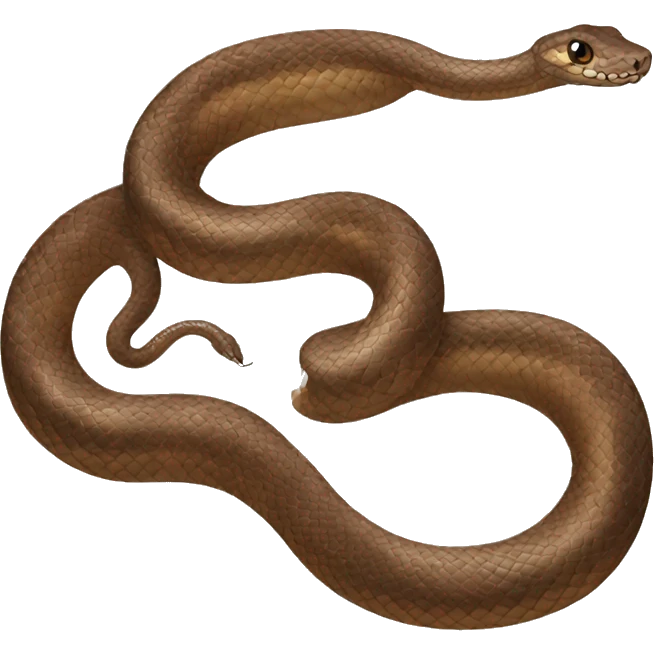 Brown big snake emoji