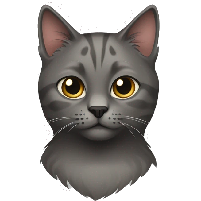 Dark gray scotish cat and color point cat emoji