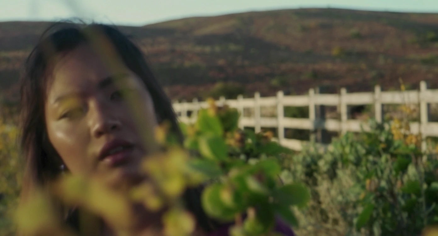 A portrait of a person in the foreground, blurred plants in the foreground (close to the camera), a wooden fence in the midground, rolling hills in the background, cinematic depth of field, layered composition, natural lighting emoji